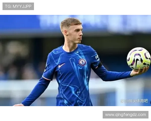 帕尔默距离顶级球星的差距解析:数据、战术角色与大赛表现 帕尔默距离顶级球星的差距解析:数据、战术角色与大赛表现